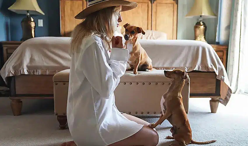 Ultimate Guide to Enhancing Pet Health: Tailored Tips for Every Breed