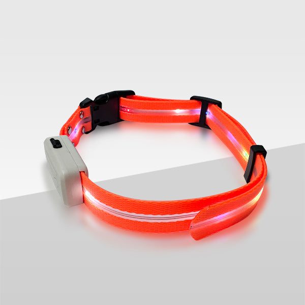 Jugbow Replacement LED Strap for DT-61C/68C/56/57/59 Collars – Light Up Your Pet’s Safety & Style