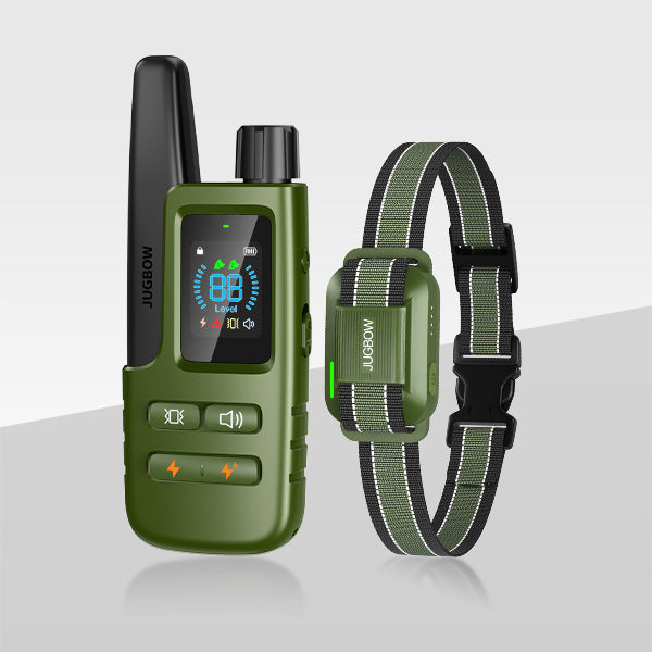 Jugbow DT-61C | Professional Remote Dog Training Collar