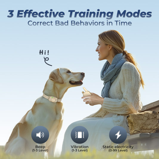 Jugbow DT-56 | Professional Remote Dog Training Collar