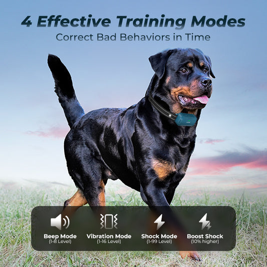 Jugbow DT-682 Remote Training Collar for Two Dogs – 4200FT Range