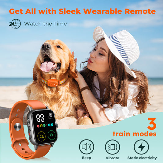 Jugbow DT-60 Remote Training Collar –  Watch-Style Remote