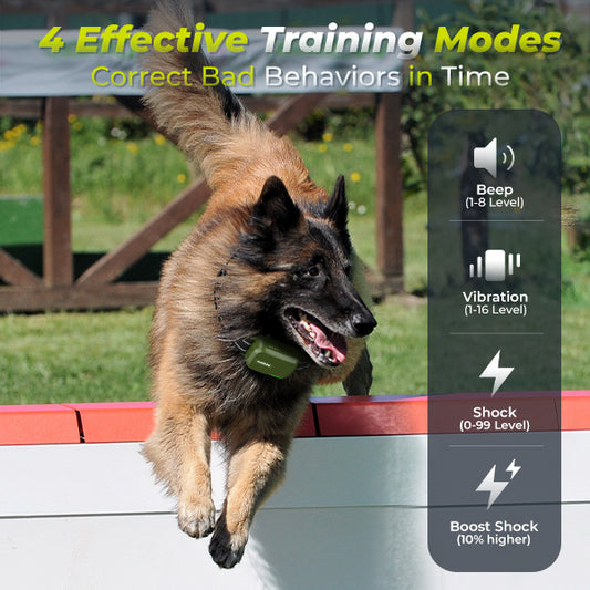 Jugbow DT-612 Remote Training Collar for Two Dogs – 4200FT Range