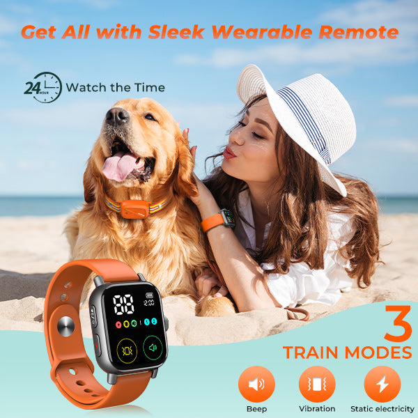 Jugbow DT-60 Remote Training Collar –  Watch-Style Remote