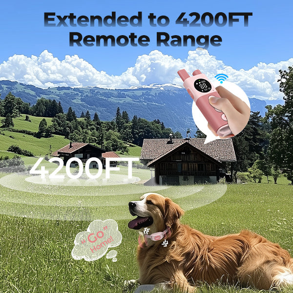 Jugbow DT-59 Remote Dog Training Collar – 4200FT Range with LED Light & IPX8 Waterproof