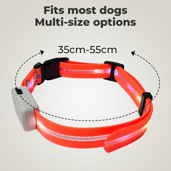 Jugbow Replacement LED Strap for DT-61C/68C/56/57/59 Collars