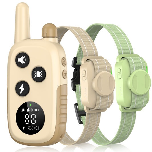 Jugbow DT-56 | Professional Remote Dog Training Collar for Two Dogs