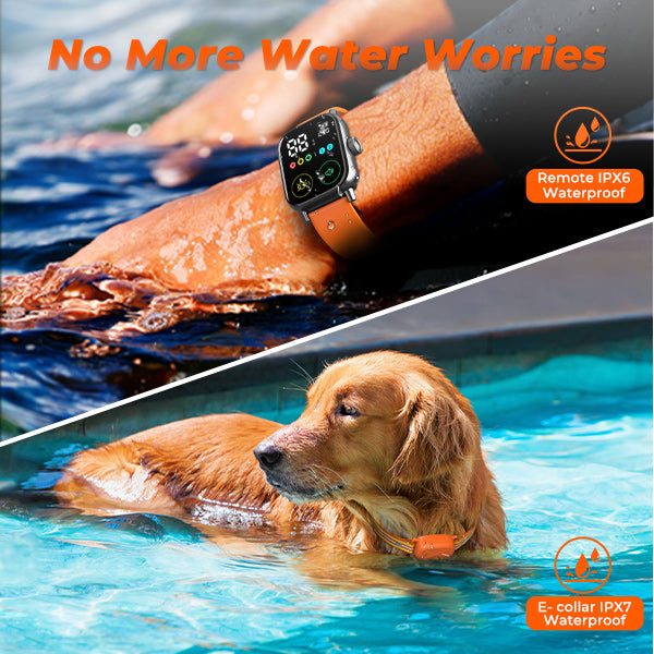 Jugbow DT-60 Remote Training Collar –  Watch-Style Remote