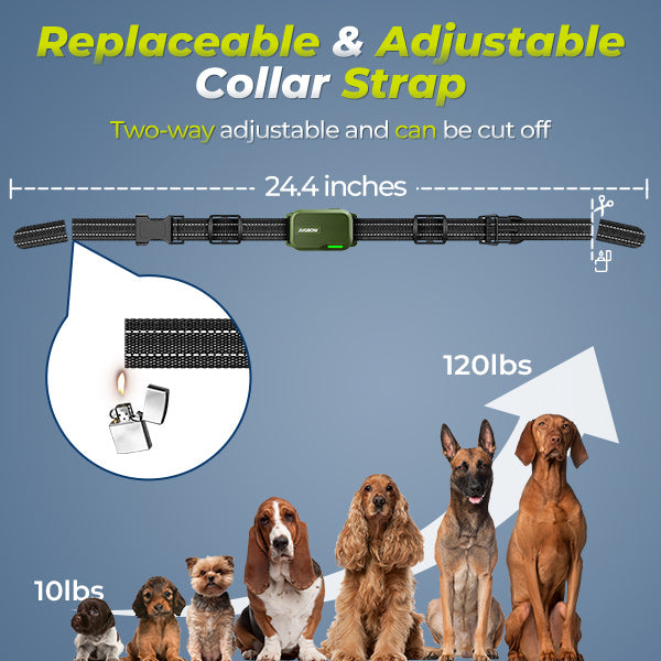 20pk Super Strong Neodymium Magnets For Johnson Dog Tracking Collars & More