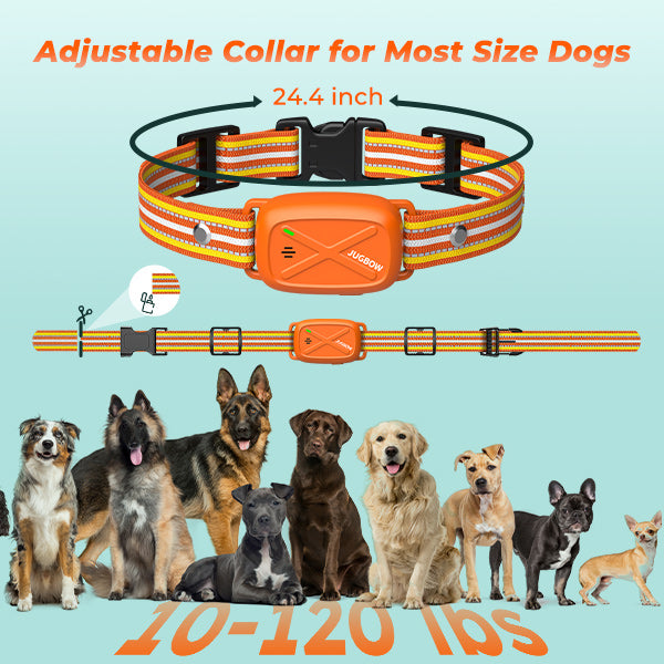 Jugbow DT-60 Remote Training Collar –  Watch-Style Remote