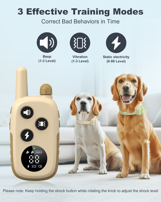 Jugbow DT-56 | Professional Remote Dog Training Collar for Two Dogs