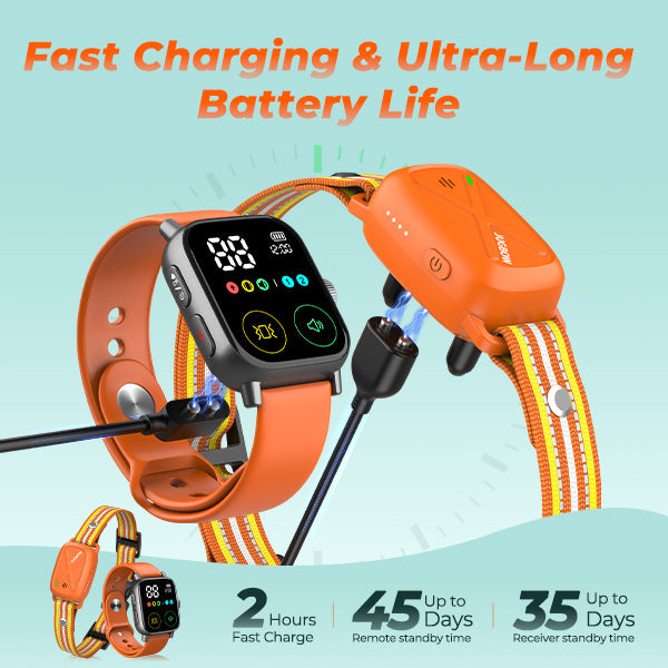 Jugbow DT-60 Remote Training Collar –  Watch-Style Remote