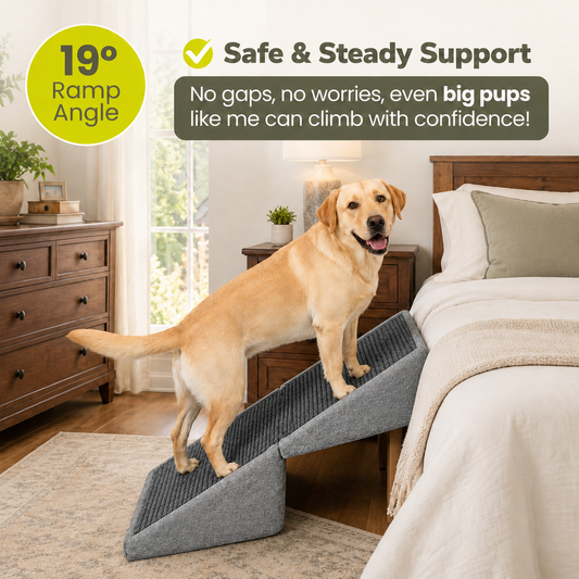 Jugbow Pet Furniture 3-in-1 Pet Stairs with Storage for Beds & Sofas