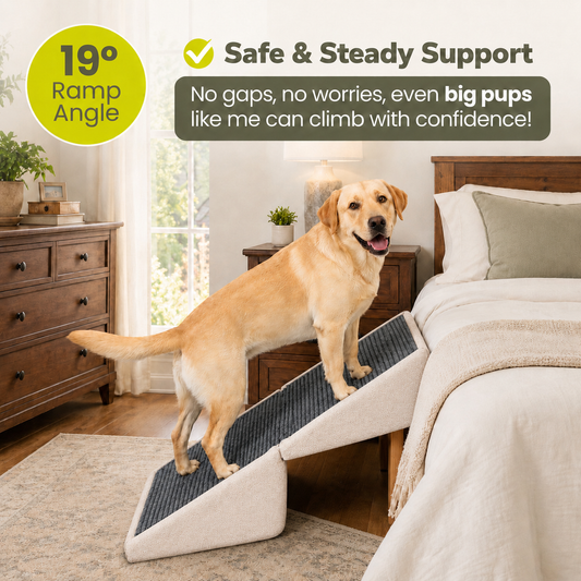 Jugbow Pet Furniture 3-in-1 Pet Stairs with Storage for Beds & Sofas