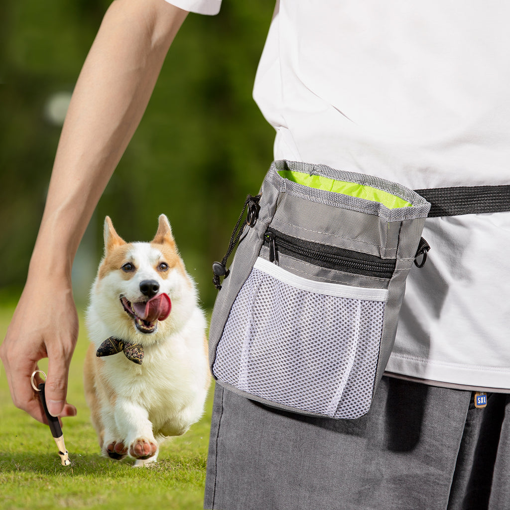 WHISTLE : Easy To Use And Train Your Dog:Adjustable frequencies, Easily teach your dog unlimited commands such assit,come, stop barking, stay, and more. 