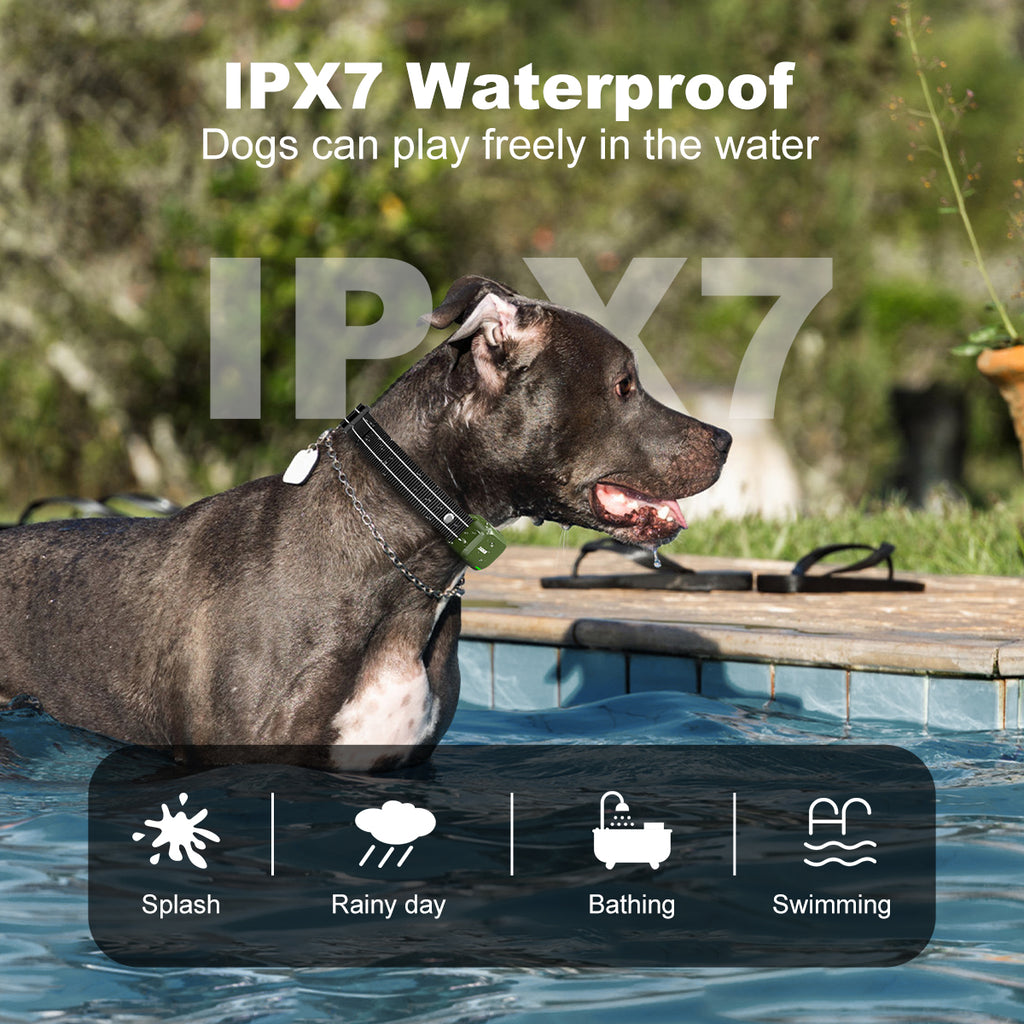 JUGBOW Dog Training Collar DT-61:IPX7 Waterproof Dogs can play freely in the water