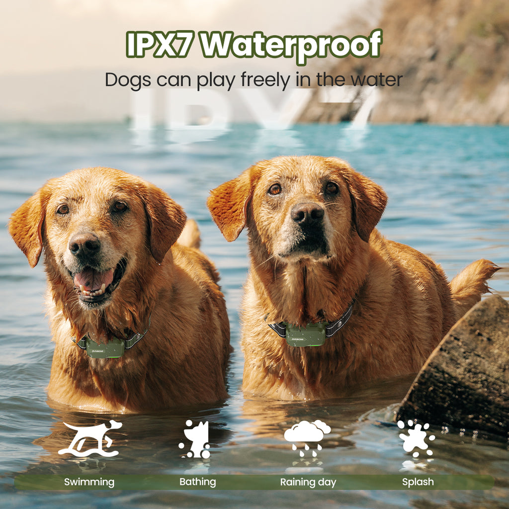 JUGBOW Dog Training Collar DT-612:IPX7 Waterproof Dogs can play freely in the water