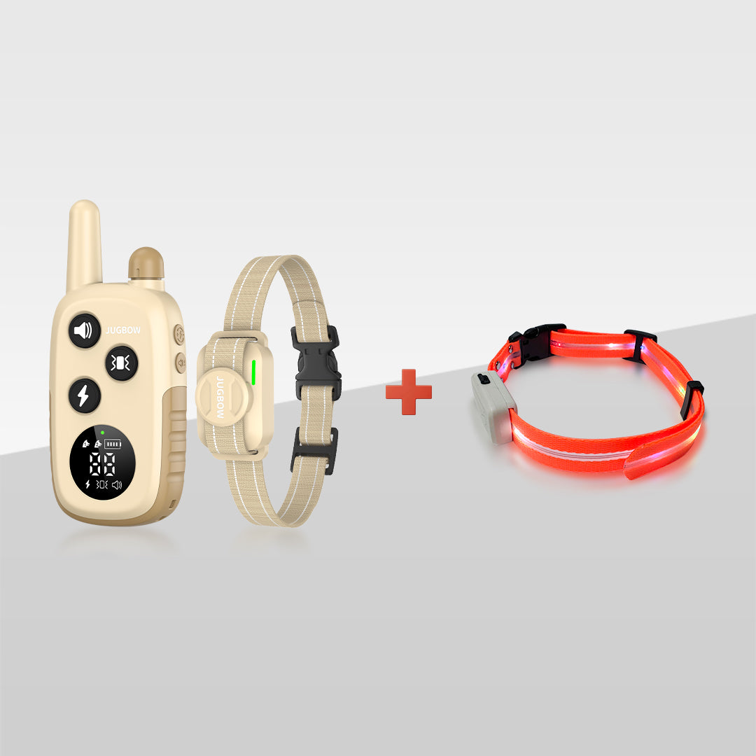 Complete Lighting Bundle