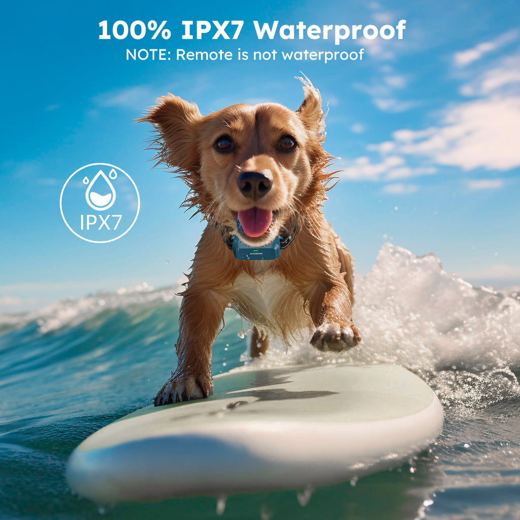 The electric dog collar can be used in any weather and any condition thanks to the IPX7 waterproof design of the receiver. 