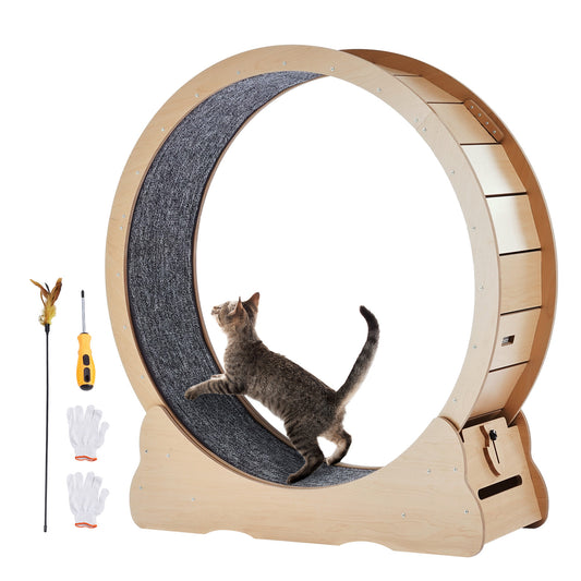 Jugbow Large Cat Exercise Wheel Yellow