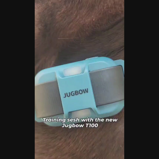 Jugbow T100 Dog Training Collar with SkinSafe Pulse™ – Safe, Gentle & Effective Remote Training